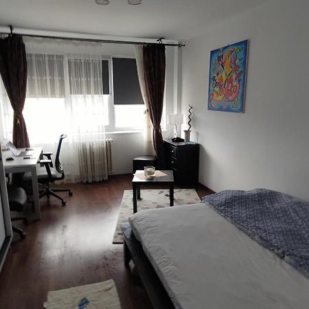 Studio Leo Ιάσιο Εξωτερικό φωτογραφία
